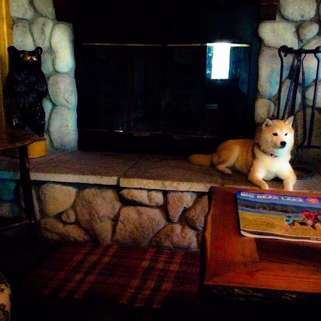 “成都三叉湖水上救生赛事:速度与反应的双重考验”