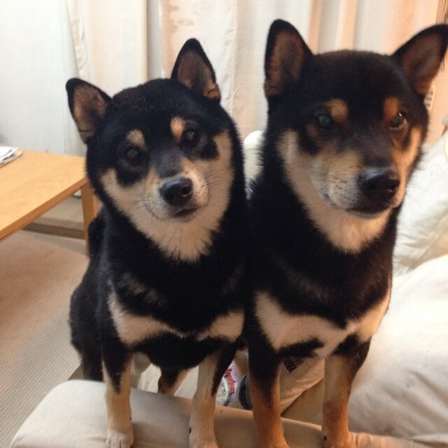 东亚杯国足晋级 球员配合更加默契,东亚杯中国队名单