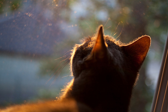 校园足球活动长期受限于硬件环境落差,校园足球存在的问题及其解决方法