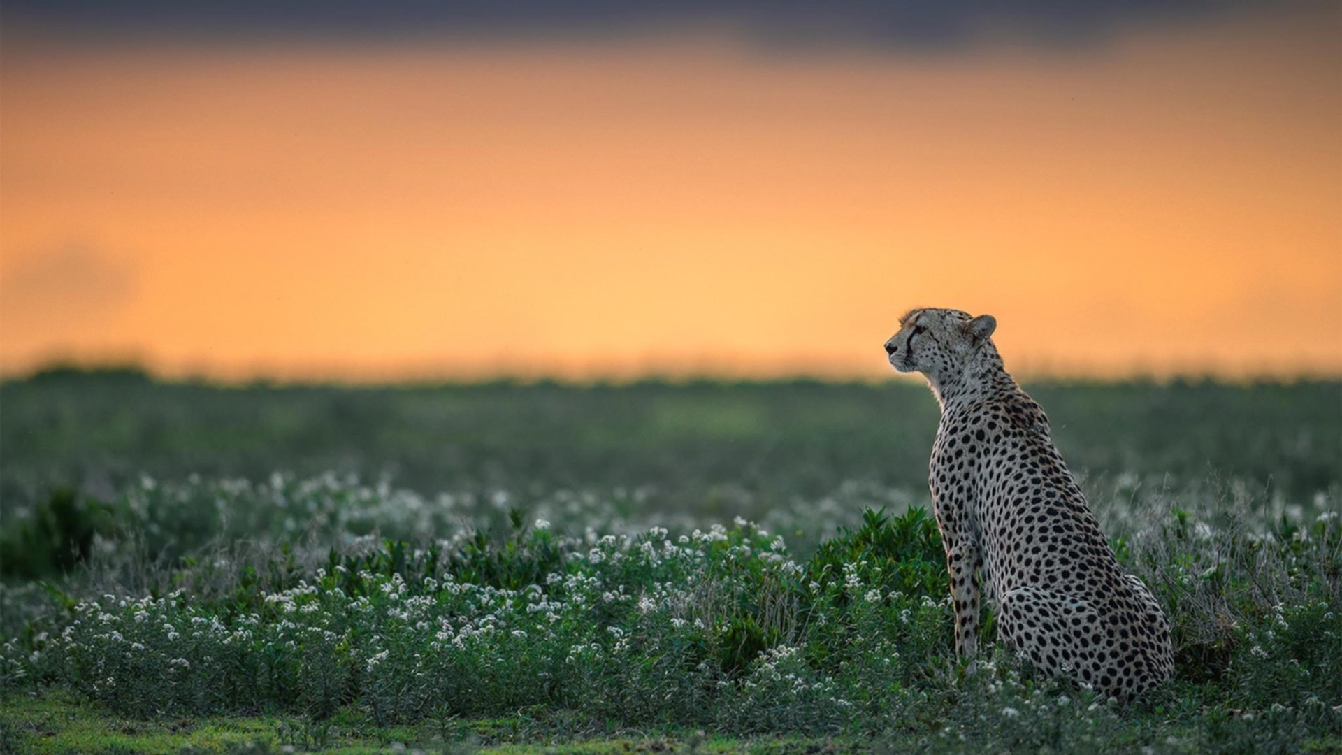 场边加装高清摄像头采集战术数据提供精准比赛复盘素材
