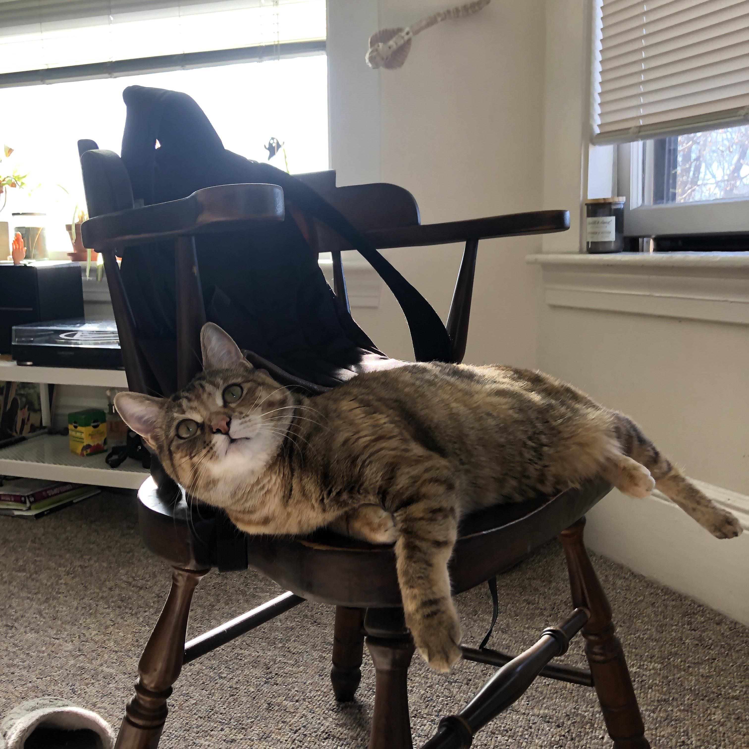 爱游戏体育官方网站-斯洛伐克女篮在欧洲预赛中表现优异，期待奥运梦想实现，斯洛伐克欧洲杯预选赛比分