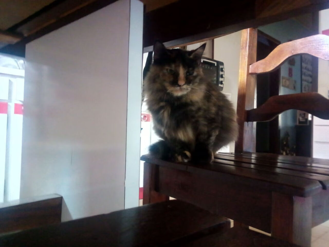 法国橄榄球的青训资源丰富，培养新一代橄榄球人才，法国橄榄球大片