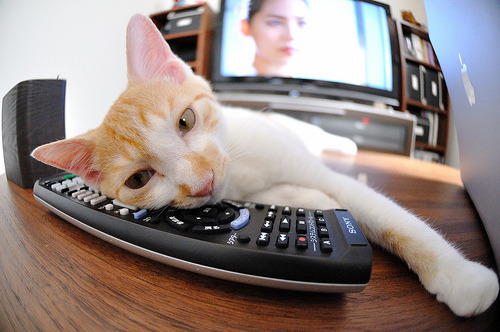 胡贝特·科斯突破自我刷新纪录,胡安贝坦科特